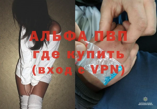 PSILOCYBIN Семикаракорск