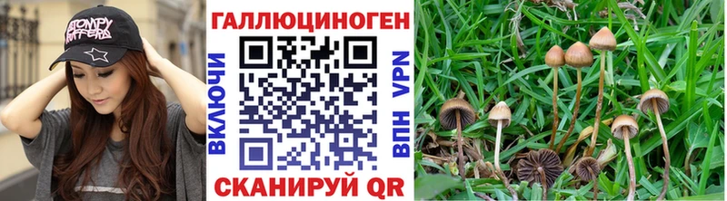 Псилоцибиновые грибы мицелий  дарнет шоп  Костомукша 