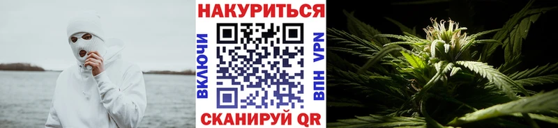 Шишки марихуана план  Костомукша 
